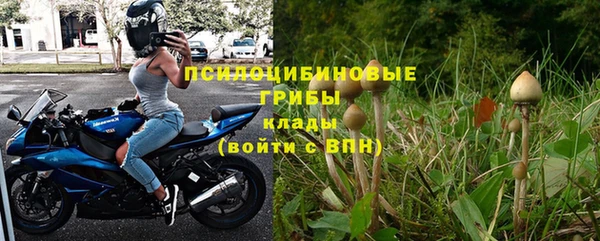 ПСИЛОЦИБИНОВЫЕ ГРИБЫ Алексеевка