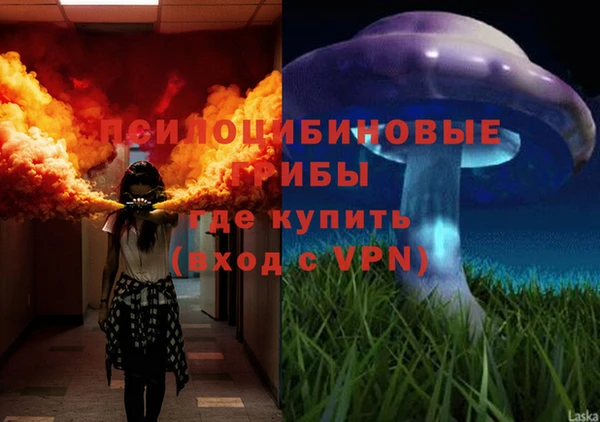 ПСИЛОЦИБИНОВЫЕ ГРИБЫ Алексеевка